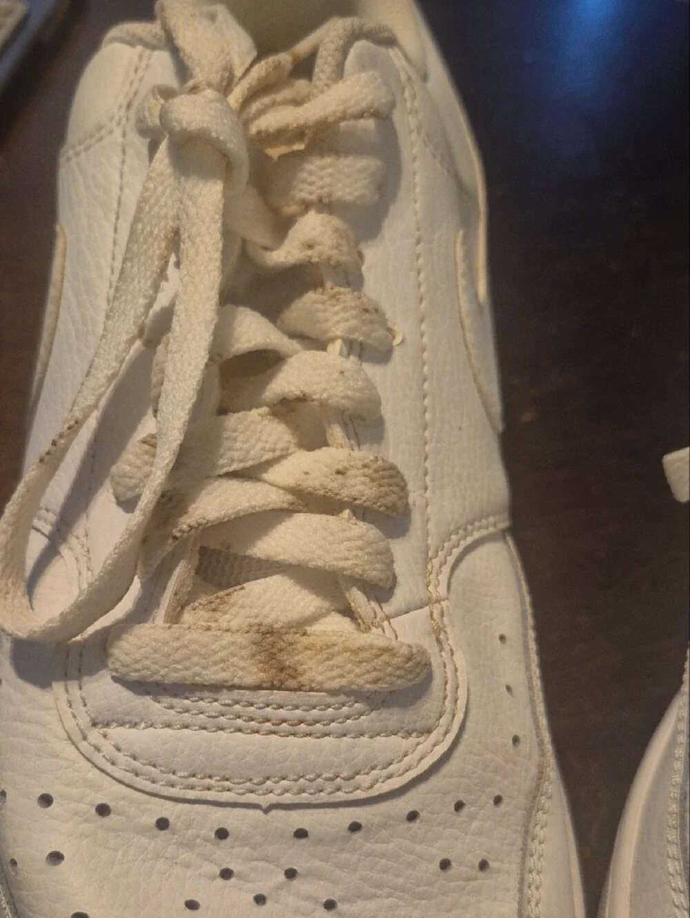 Nike All-White Leather Low-Top Sneakers